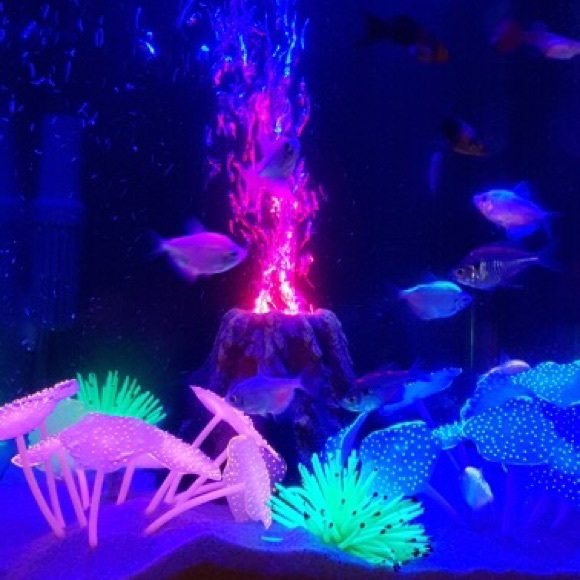 π 2 Silicone Fish tank decoration π mashrooms - Picture 8 of 8